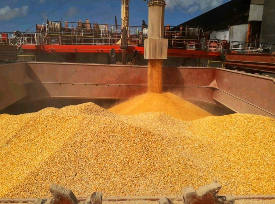 Soy & Cereals