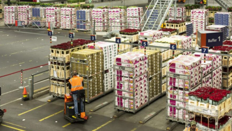 Wholesale management